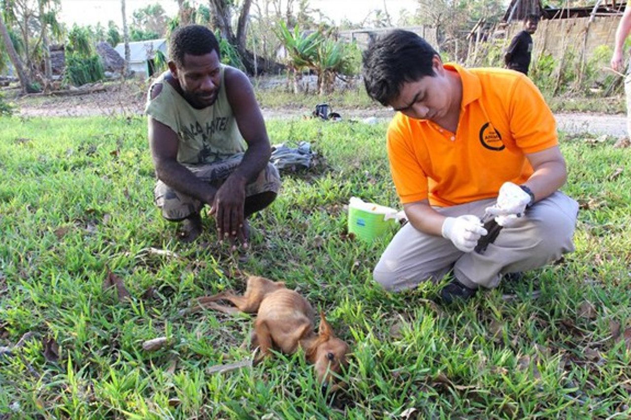0401_a_minutos_de_morir_un_cachorrito_es_salvado_en_vanuatu_3