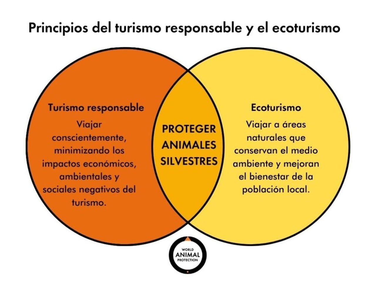 Turismo responsable: Viajar conscientemente, minimizando los impactos económicos, ambientales y sociales negativos del turismo.