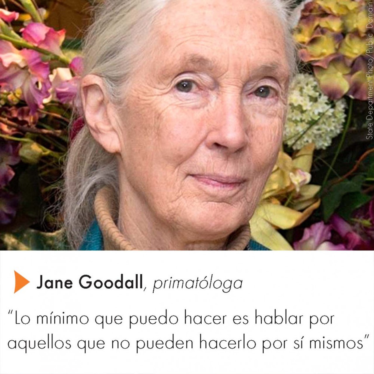 jane_goodall_1