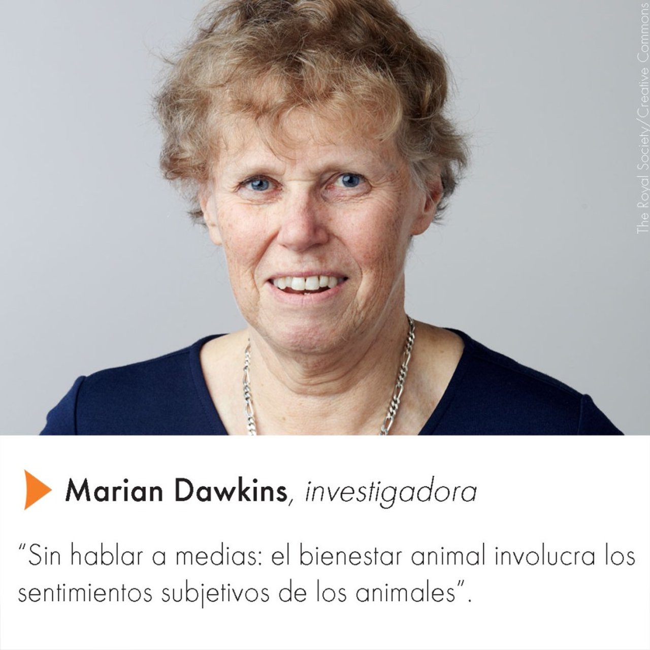 marian_dawkins