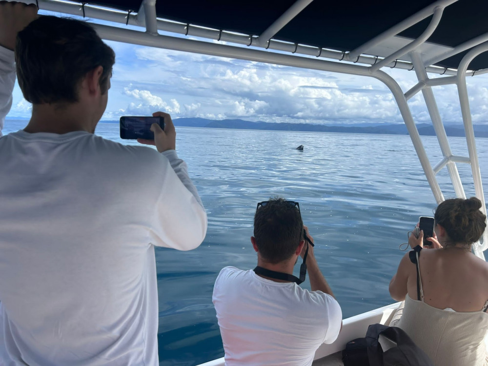 Turistas observando a una ballena en su hábitat natural a una distancia segura en Golfo Dulce, Costa Rica