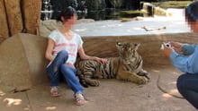 Una turista posa con un tigre cautivo en China.