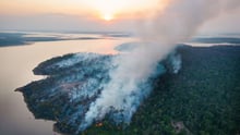 un incendio forestal consume una gran extensión de selva tropical.