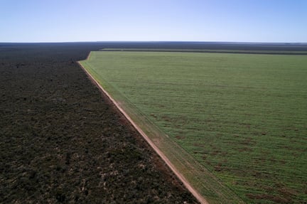 Vista aérea de cultivos de soja cercanos al Área Protegida de la Serra da Tabatinga.