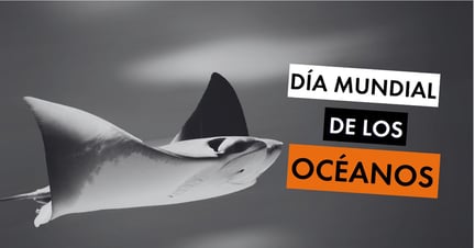 Día Mundial de los Océanos - World Animal Protection