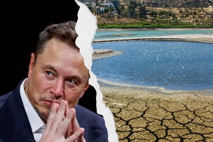 Elon Musk se refiere al impacto de los animales en el cambio climático