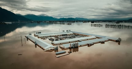 Las instalaciones de una granja industrial cubiertas casi en su totalidad por una inundación. Imagen de: Nick Schafer Media / We Animals Media