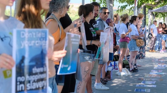 Protesta frente a las instalaciones de Oceanografic contra el cautiverio y explotación de delfines