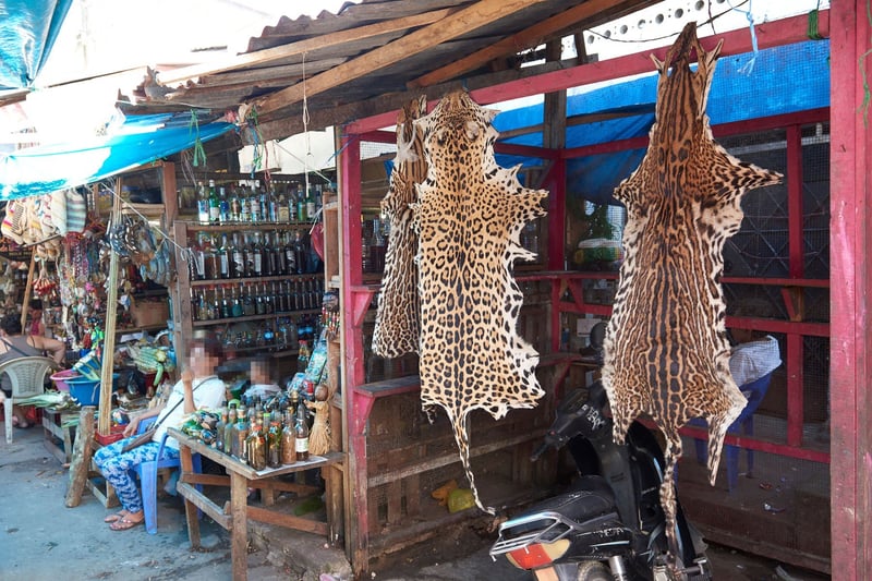 peru wildlife trade