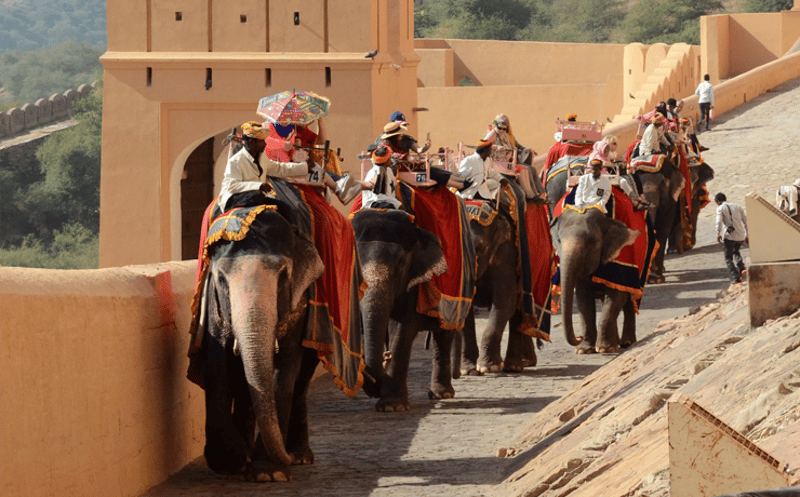 Elefantes cargando turistas en Amer Fort, India.