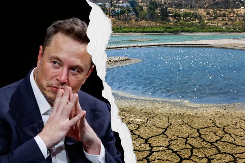 Elon Musk se refiere al consumo de carne y el impacto ambiental en un podcast